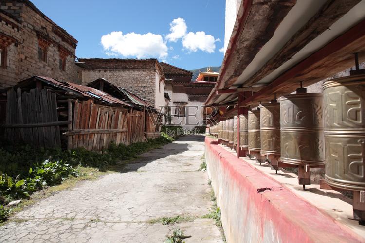 11月6日生日花：紫杉（天蝎座）