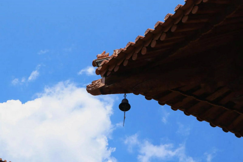 电视剧情满九道弯演员表