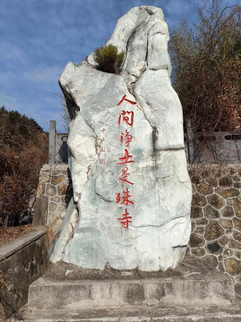 2025年2月生肖猴事业运势 2025年2月生肖猴事业运势