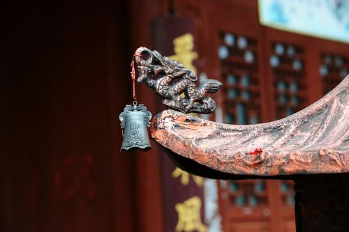 陈伟霆个人资料什么毕业