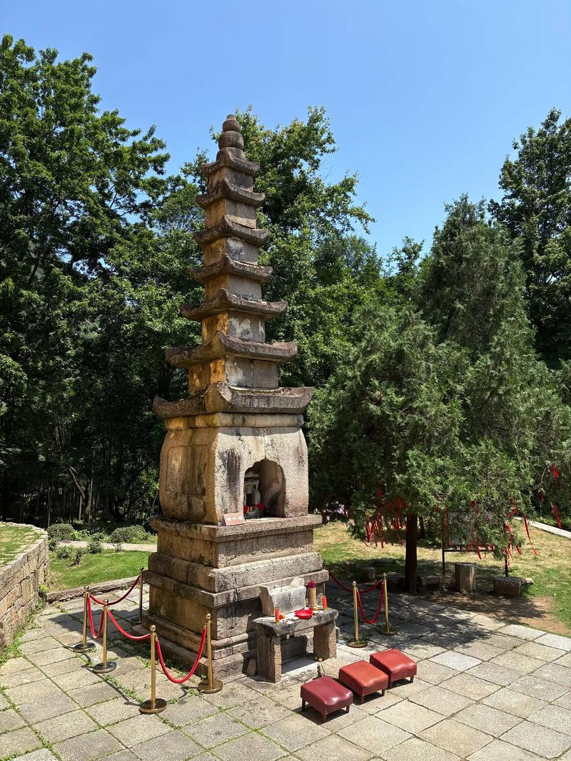 阴宅中巽山属什么 阴宅中巽山属什么
