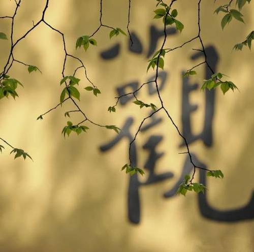 吴昕官方粉丝团元气满满的哥哥粉丝真的 吴昕官方粉丝团元气满满的哥哥粉丝真的