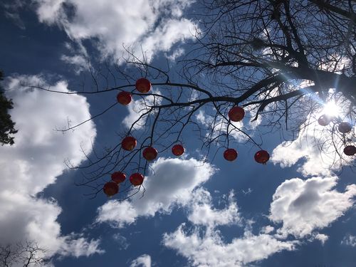 星座q版 星座手绘q版