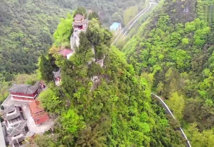 1995年属猪的运势