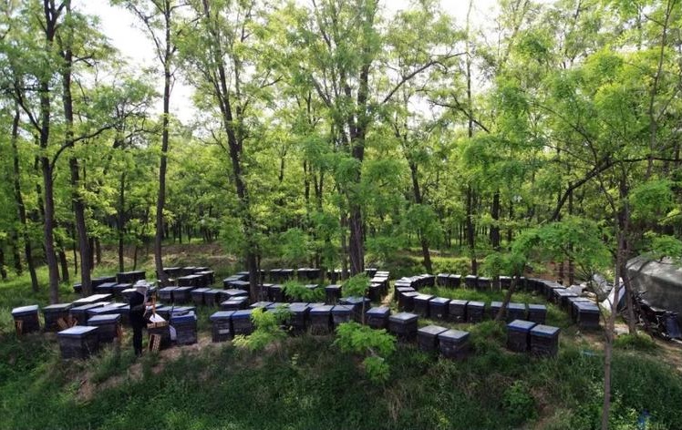 萧亚轩和黄皓是怎么认识的萧亚轩、黄皓私下 萧亚轩和黄皓是怎么认识的萧亚轩、黄皓私下