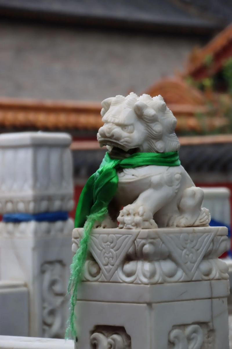 什么是金猪 什么是金猪