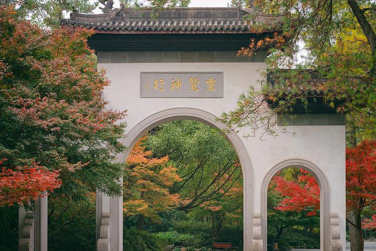 铁树摆放办公室风水植物