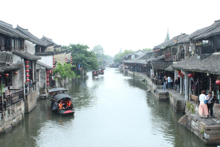 生肖马与什么属相相冲