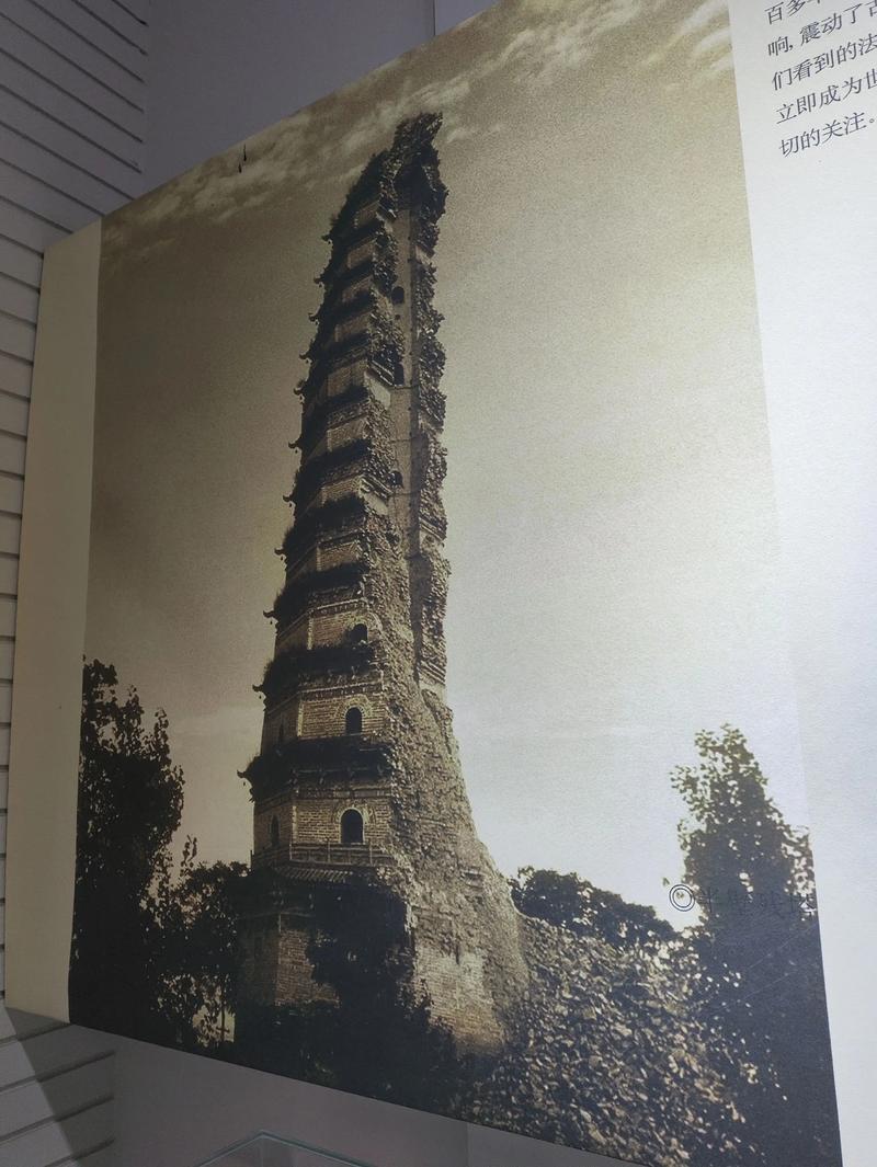 吴君如和吴耀东个人资料