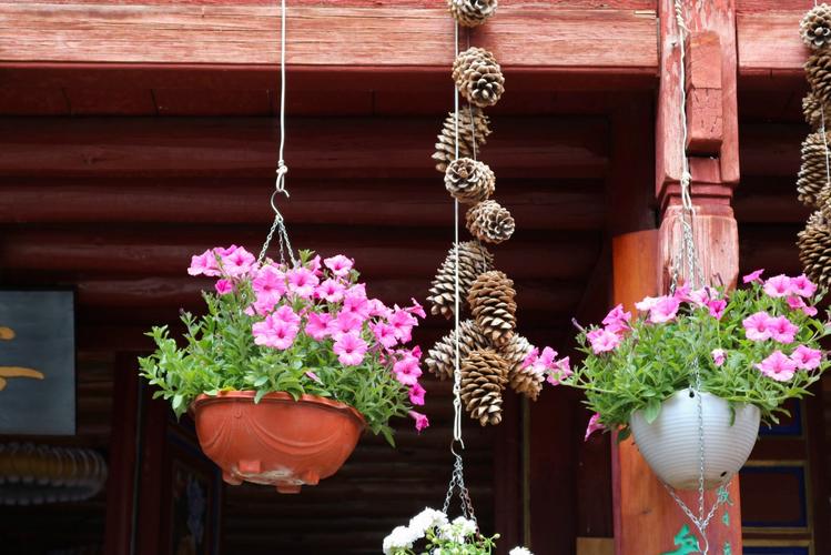 婚姻算命看生肖吗龙与另一半如何实现真正的相互包容(婚姻算命看生肖吗龙年夫妻如何相互包容才能幸福)