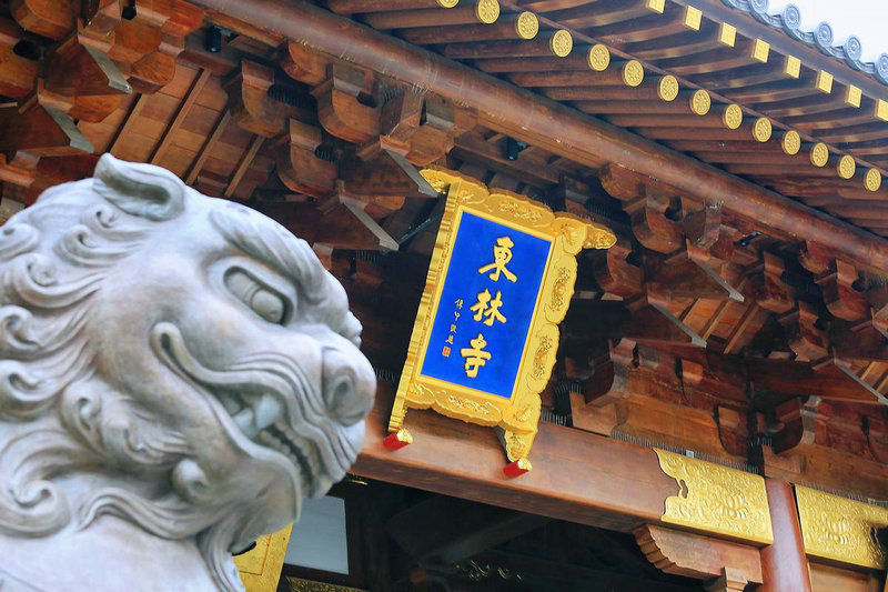 属鼠人猴年运势 猴年属虎和属鼠的人合作做生