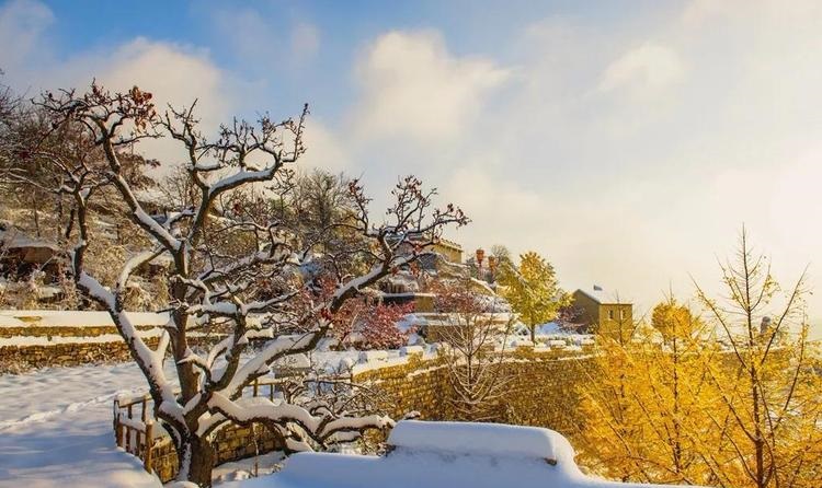 老黄历车牌号码测吉凶数字295是否可能影响你的驾车安全和运势，真的值得关注吗