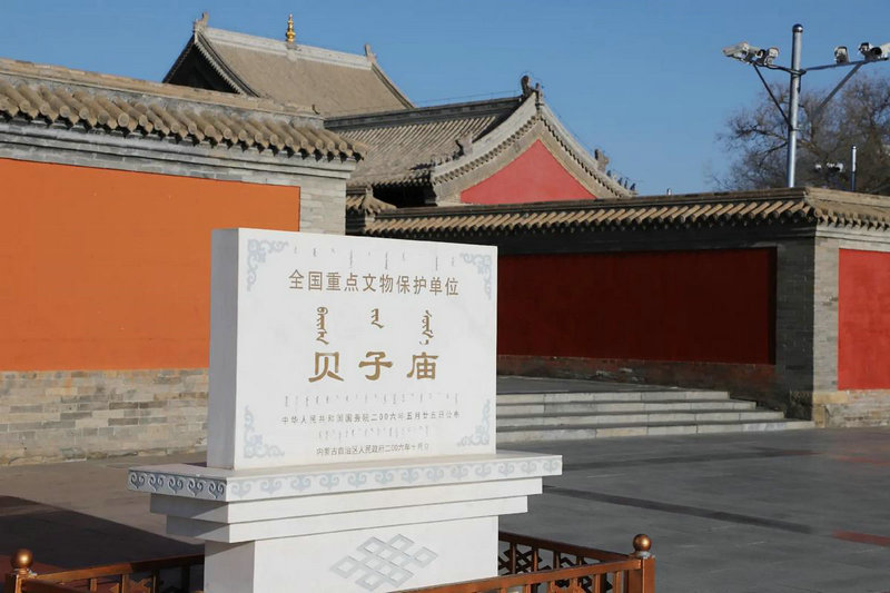 唐国强主演的电视剧领袖