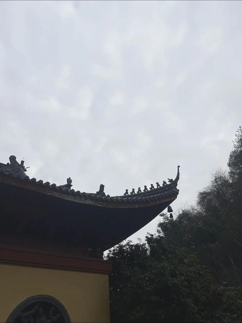 魏坤琳现在怎么样魏坤琳考的是北京体育大学 魏坤琳现在怎么样魏坤琳考的是北京体育大学