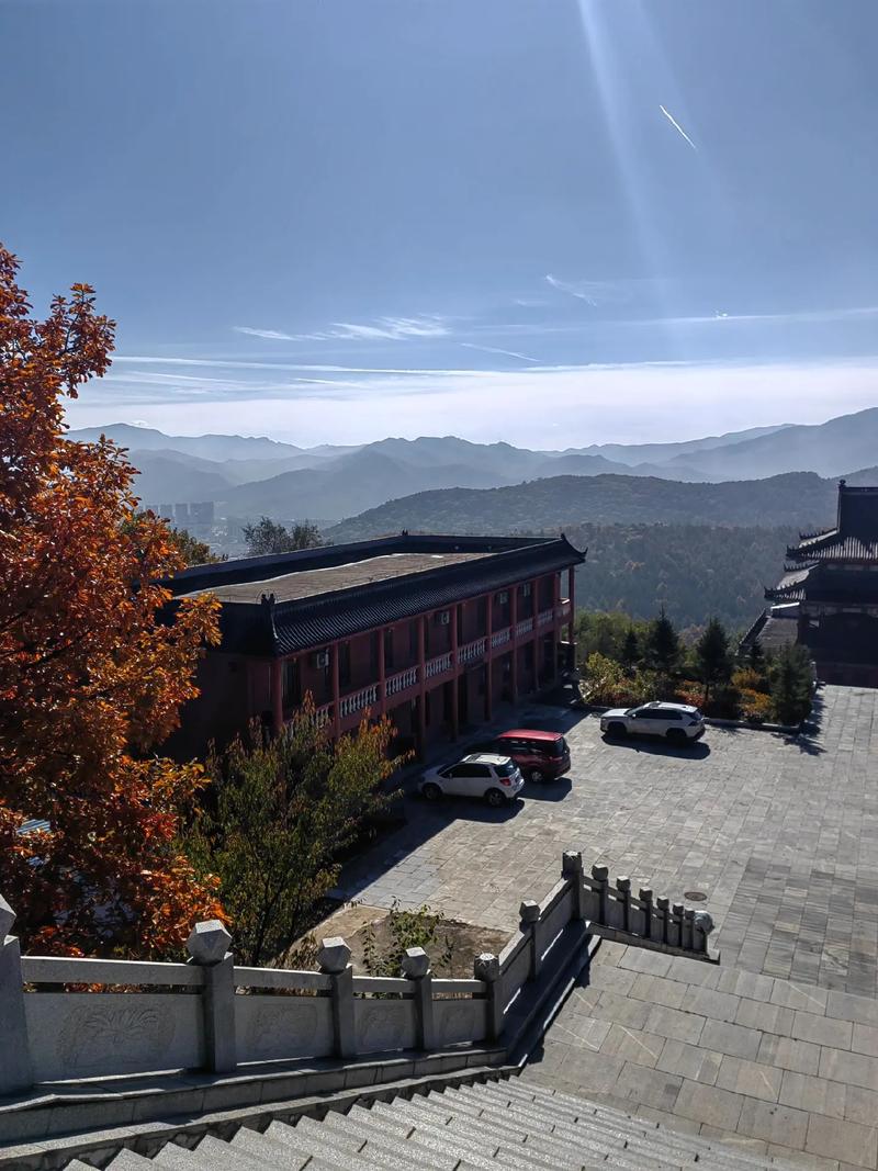 观叶植物小盆栽如何养护 观叶植物小盆栽如何养护