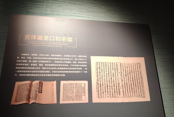26个字母中的幸运之星:揭秘最吉祥的字符 (26个字母中的元音字母) 26个字母中的幸运之星:揭秘最吉祥的字符 (26个字母中的元音字母)