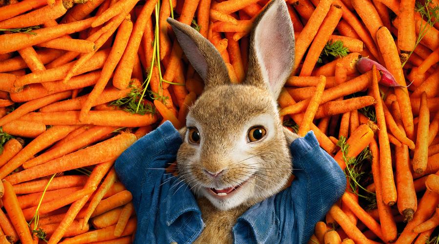 对白羊男死缠烂打,对于白羊座男孩的“死缠烂打 对白羊男死缠烂打,对于白羊座男孩的“死缠烂打