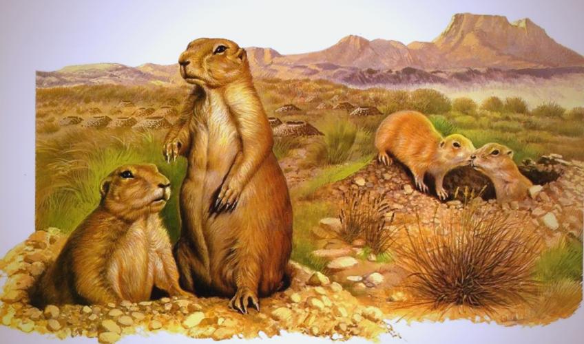 十二星座男骚指数 十二星座男靠谱指数