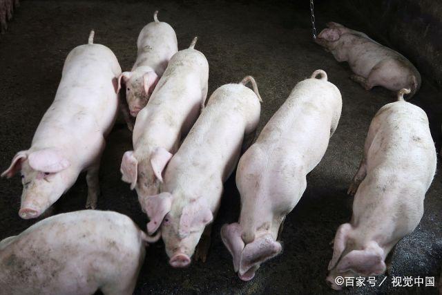 孔子女孩起名大全两字是否会让恋爱嫉妒情绪加剧(孔子女孩起名大全两字如何避免恋爱嫉妒的烦恼) 孔子女孩起名大全两字是否会让恋爱嫉妒情绪加剧(孔子女孩起名大全两字如何避免恋爱嫉妒的烦恼)