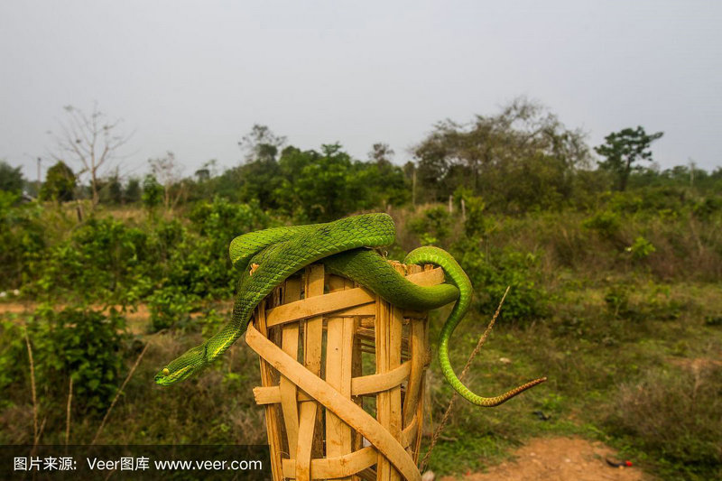 土陶花瓶的风水禁忌 土陶花瓶的风水禁忌