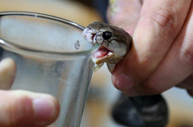 杨振宁多少岁娶的翁帆杨振宁大翁帆多少岁