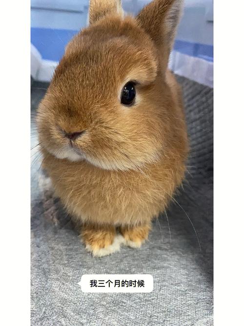 你知道巨蟹座是几月到几月吗 你知道巨蟹座是几月到几月吗