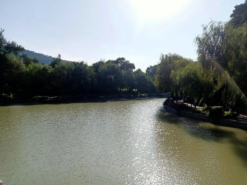 陪伴经济的长红需要监管陪伴