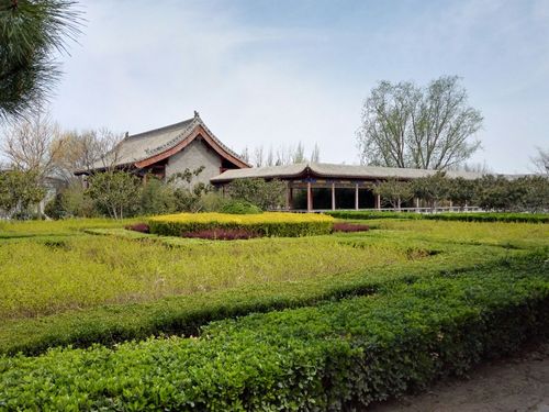 本命佛去哪里买(本命佛在哪)