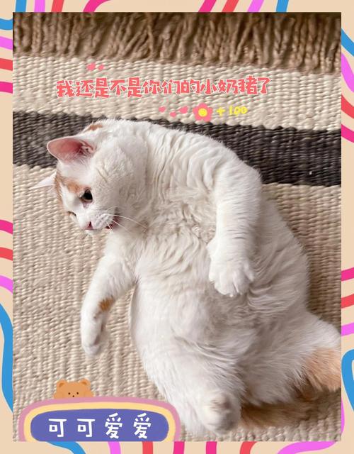 本命佛啥时候可以带 本命佛啥时候可以带