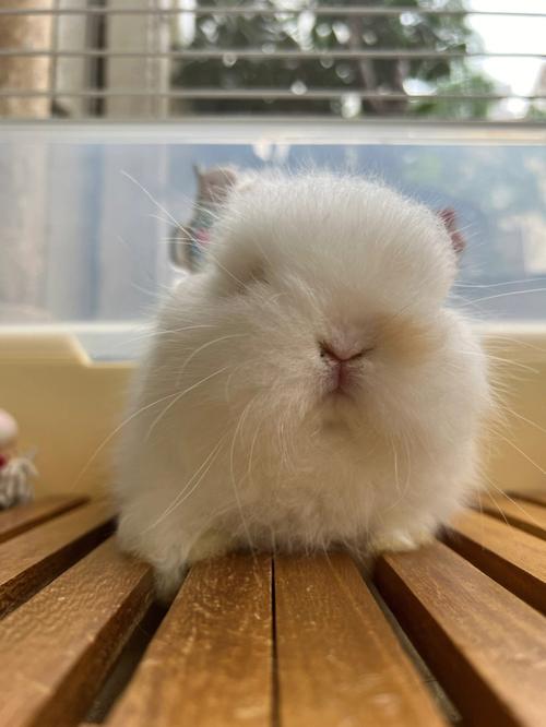 吊坠本命佛手上还能戴吗(戴本命佛吊坠有什么讲究)