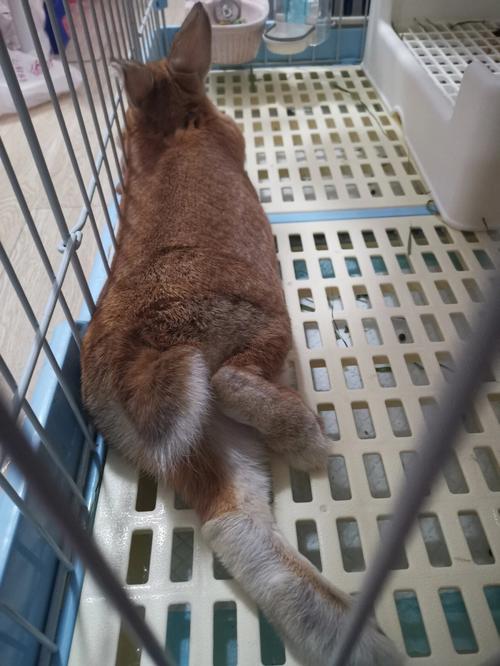 摩羯座6月份运势感情 摩羯座专属感情运势6月运势 摩羯座6月份运势感情 摩羯座专属感情运势6月运势