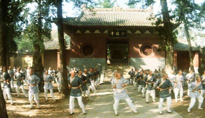 梦中小径爬树行为研究梦中爬树行为的寓意及跌跤背后意义解析