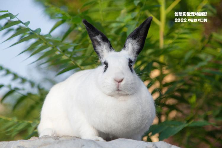 手相五条主线教你看一生运势