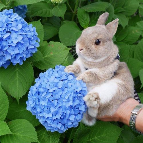 开小吃店怎么旺风水