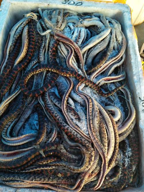 天蝎座四月运势 天蝎座4月份运势- 天蝎座四月运势 天蝎座4月份运势-