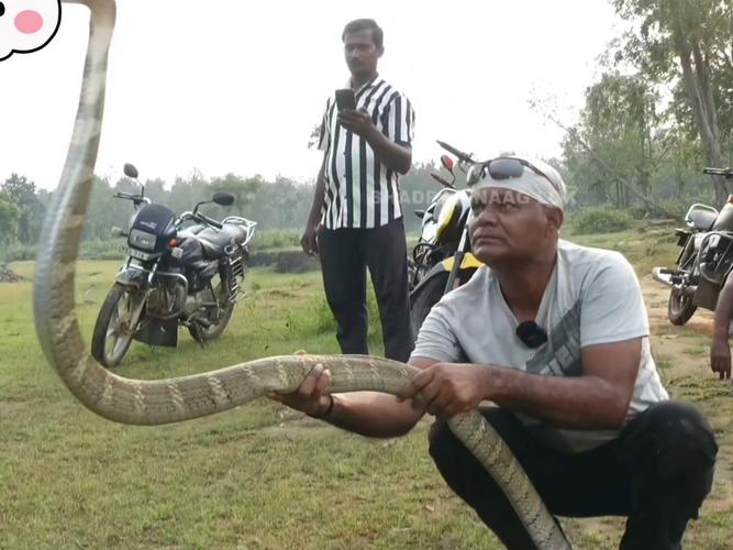 财神灵签41签恋爱_竞争压力下父母健康如何守护(财神灵签41签恋爱中父母健康签压力大吗) 财神灵签41签恋爱_竞争压力下父母健康如何守护(财神灵签41签恋爱中父母健康签压力大吗)