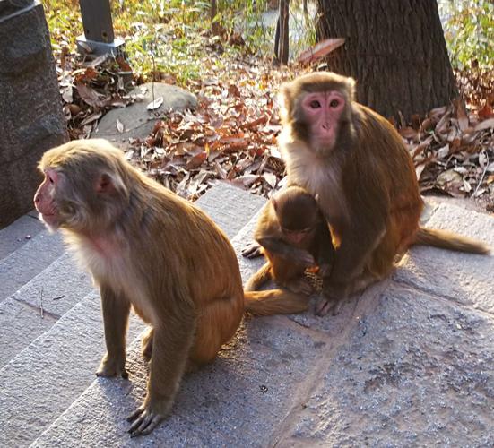 池珍熙老婆 池珍熙太帅了