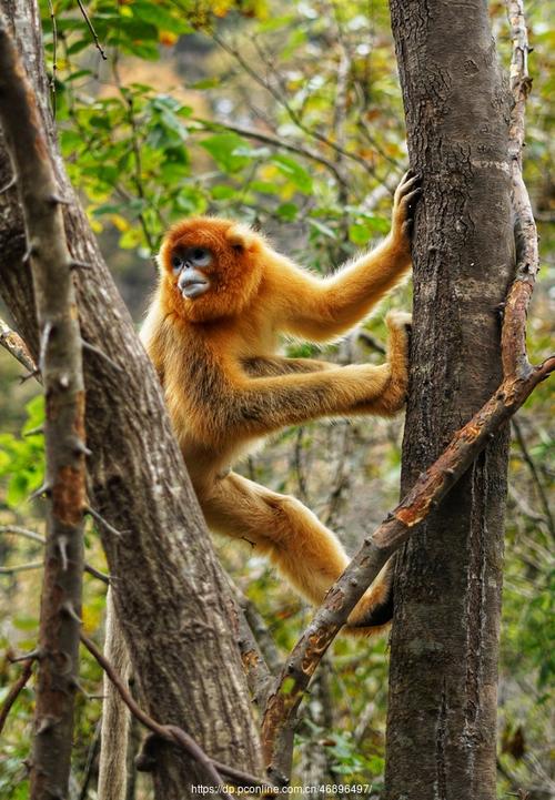 狮子女感兴趣的说说,说说2023最新狮子座女生说说