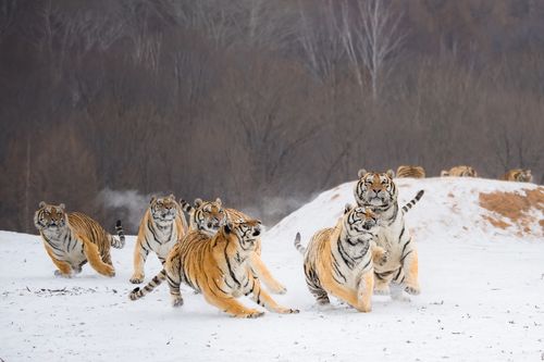 我们的歌mv 我们的歌mv女主 我们的歌mv 我们的歌mv女主