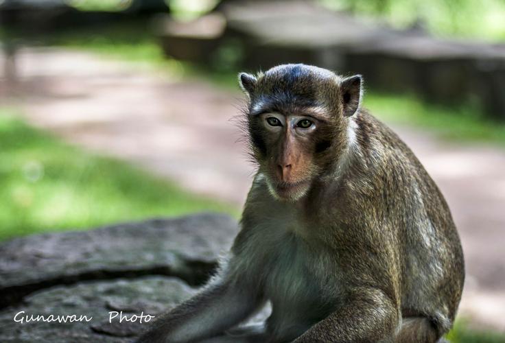 怎样判断阴宅脱脉 怎样判断阴宅脱脉