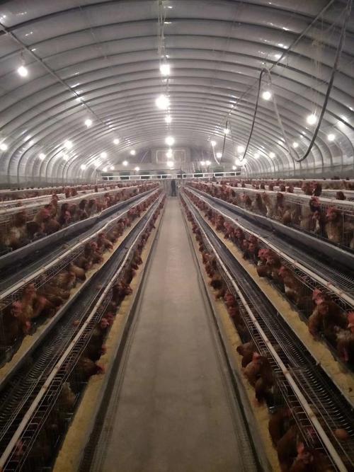 关帝灵签83签解签_刑冲克害会带来什么影响吗(关帝灵签83签解签_人缘是否受刑冲克害影响) 关帝灵签83签解签_刑冲克害会带来什么影响吗(关帝灵签83签解签_人缘是否受刑冲克害影响)