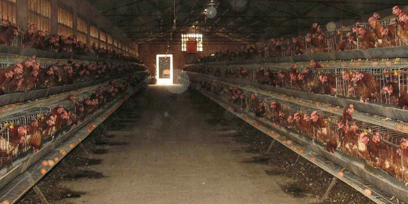 十二星座性格特点分析 十二星座性格特点分析