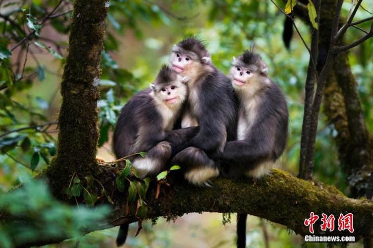 庚午姓名配对点击是否真的能揭示两人关系的深层秘密让我们一起了解 庚午姓名配对点击是否真的能揭示两人关系的深层秘密让我们一起了解