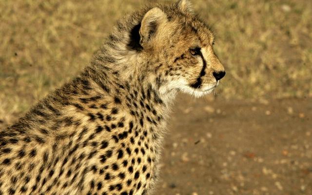 咸卦补运势 查一下自己的运气