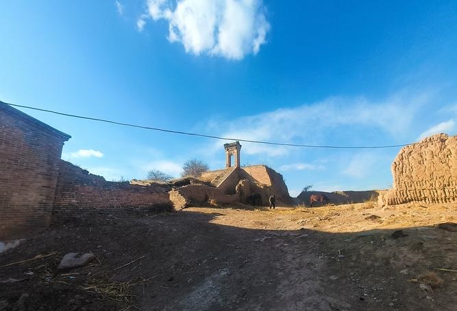 猪狗本命佛象牙吊坠（学到了吗!）