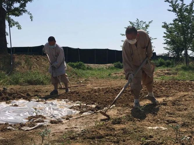 天蝎天秤座配对指数 请问天蝎座与天秤座的配