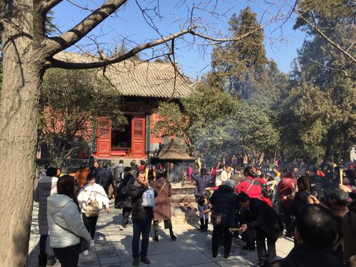 属狗几点出生优秀命 属狗几点出生优秀命