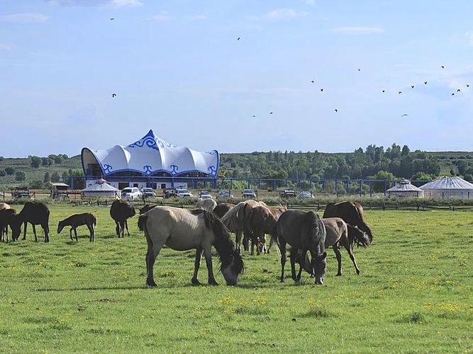 金牛座的底线 金牛座的底线