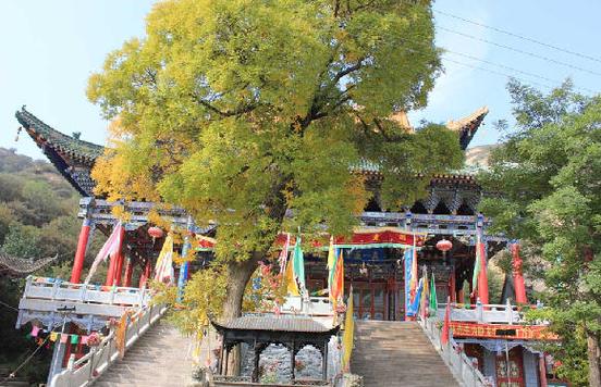 仙剑奇侠传三外传问情篇 仙剑奇侠传三外传问情篇