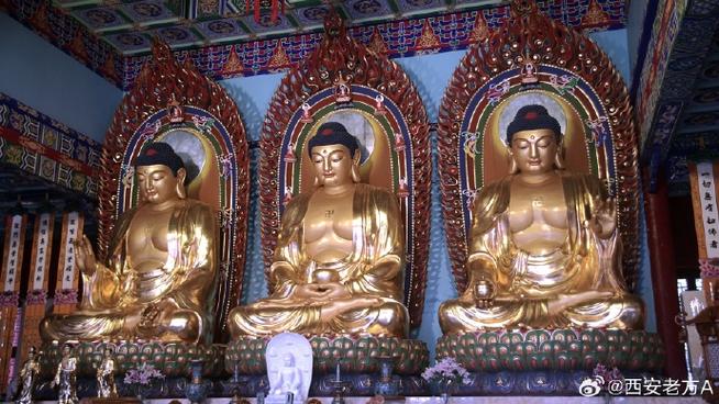 羊刃格富贵女命带权 此命局入羊刃格女命